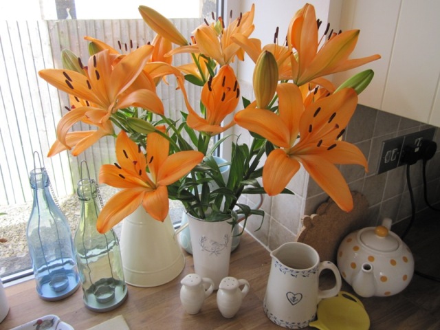 Orange lilies ©The House of Jones