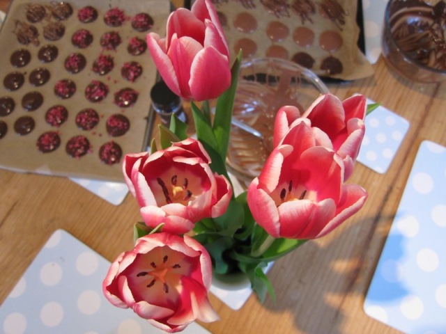 Pink tulips ©The House of Jones